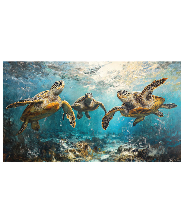 A Cold Day in [Tortoise S]hell