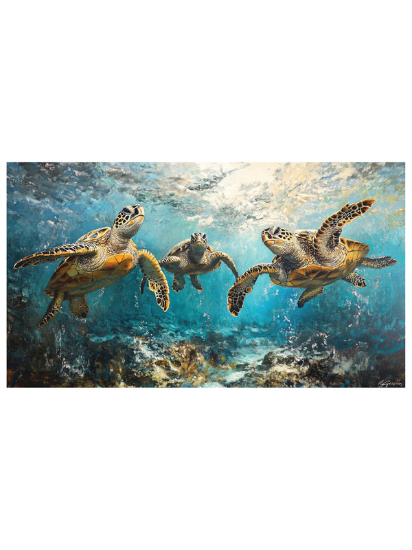 A Cold Day in [Tortoise S]hell