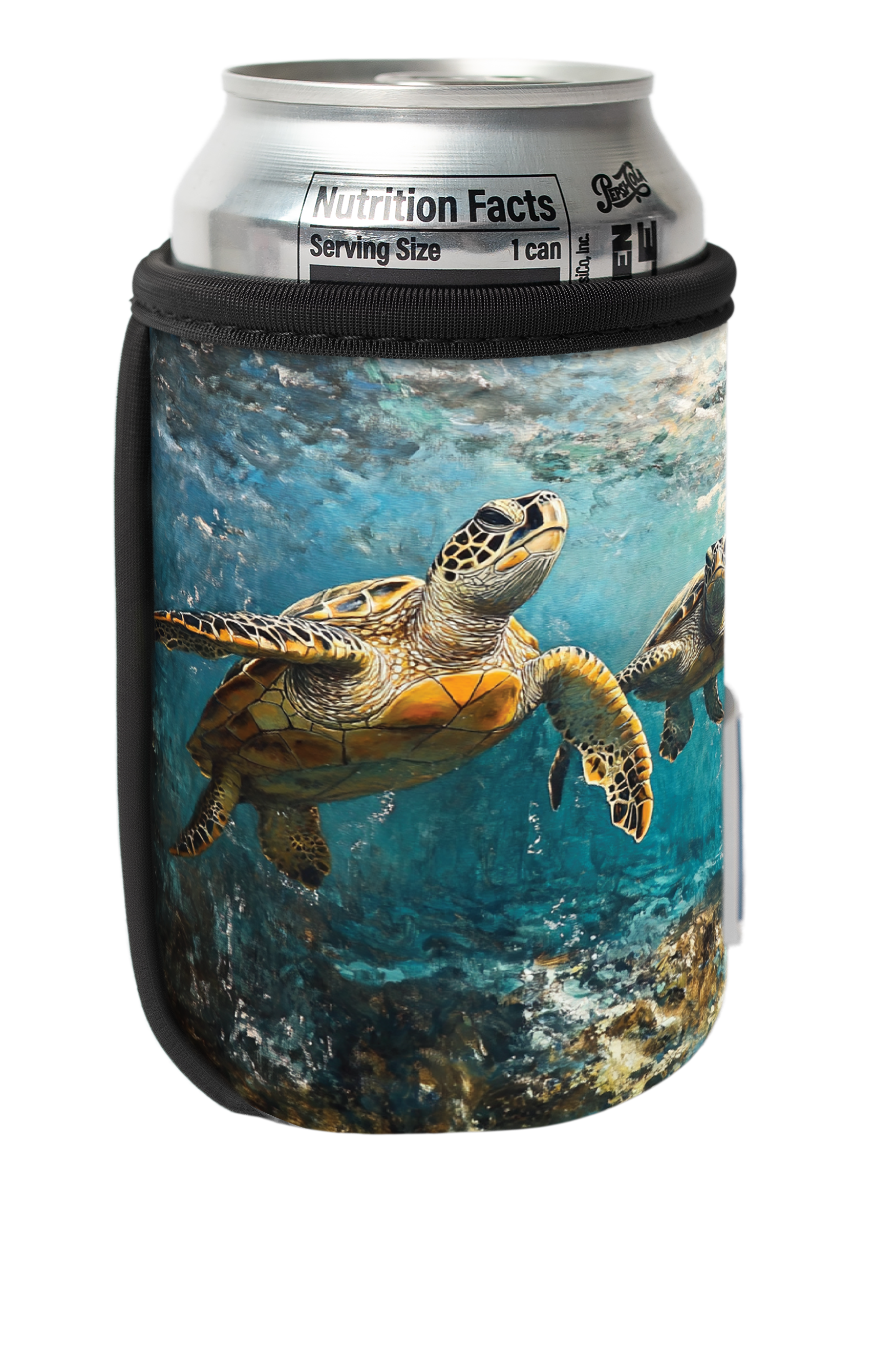 A Cold Day in [Tortoise S]hell