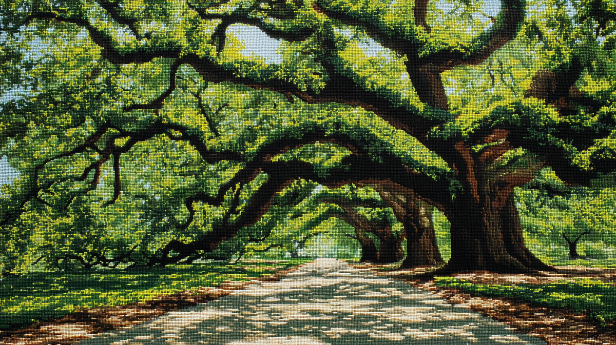 Wholesale | Charleston Landmark - Angel Oak Tree 3