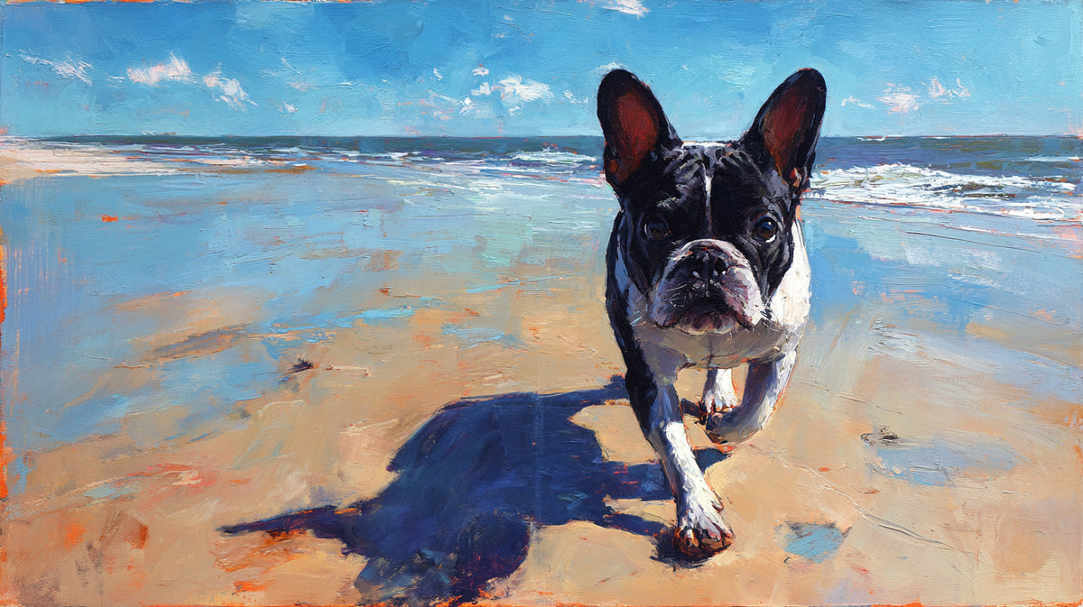 Wholesale | Dog - French Bulldog 3
